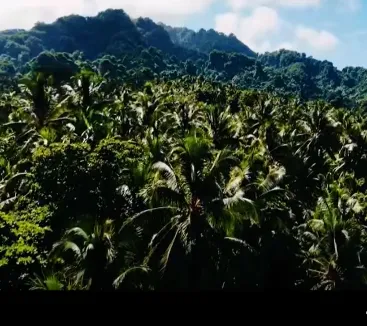 Savo Island