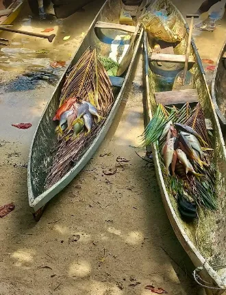 Makambo Camping