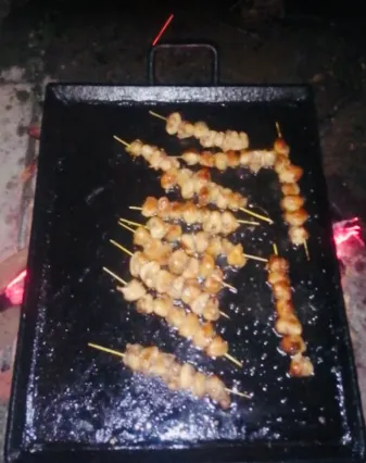 Makambo Camping