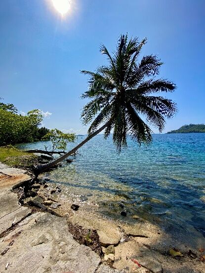 Makambo Camping